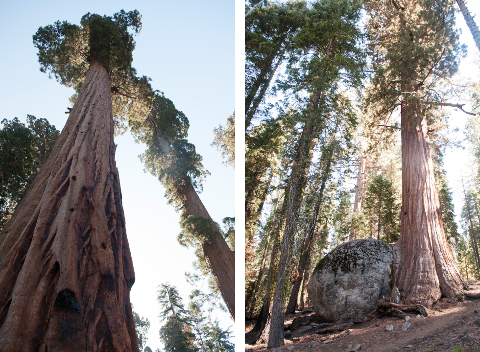 California road trip duo 8